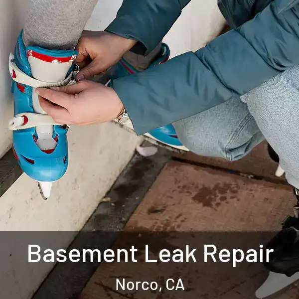  Basement Leak Repair Norco, CA