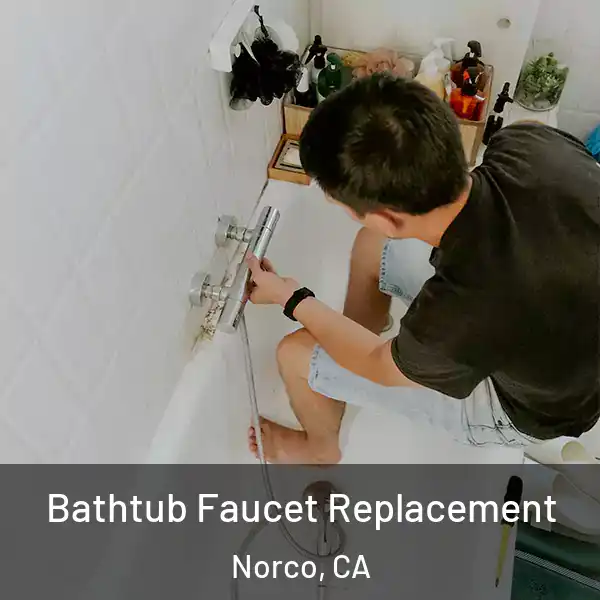  Bathtub Faucet Replacement Norco, CA