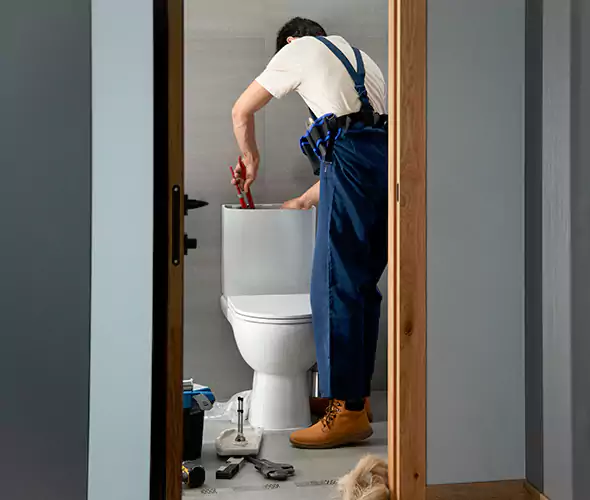 Professional Plumbers for Toilet Bowl Replacement in Norco, CA: Schedule Affordable Toilet Replacement Services With Us