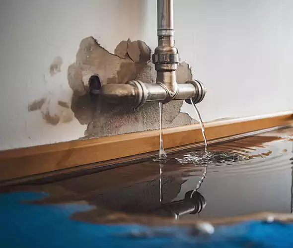 Professional Water Damage Restoration Experts in Norco, CA — Fast, Reliable & Certified
