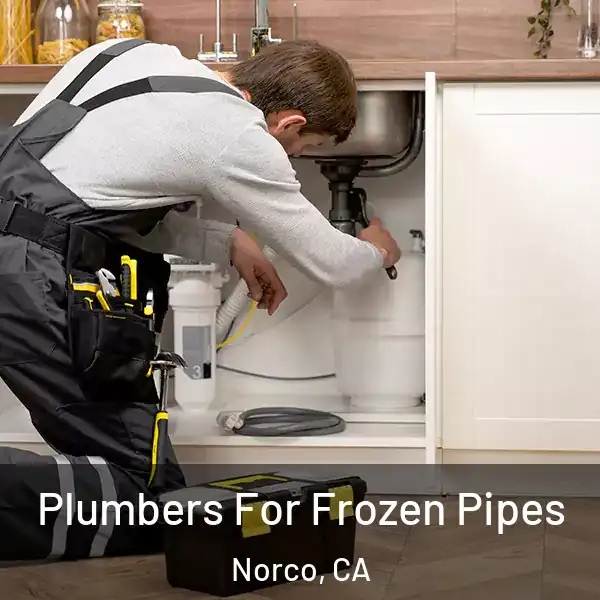  Plumbers For Frozen Pipes Norco, CA
