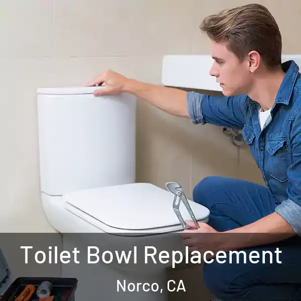  Toilet Bowl Replacement Norco, CA